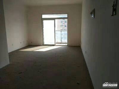 长虹六区对面，电梯七楼，带200平米独享大平台，神一般的户型