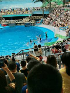 山鬼谣